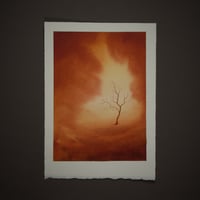 Image 1 of Nothing beyond