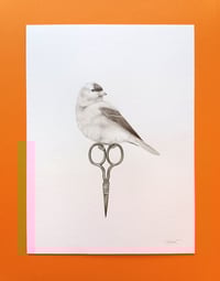 Image 1 of Original American Goldfinch