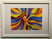 Image 2 of The Colour Explosion