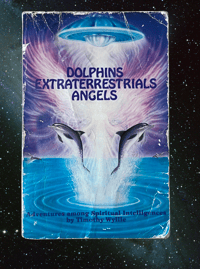 Image 3 of New Age Grave 