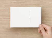 Image 2 of 500+ Postcards - Little Fish vs Big Fish - Postcards To Voters - Full Size