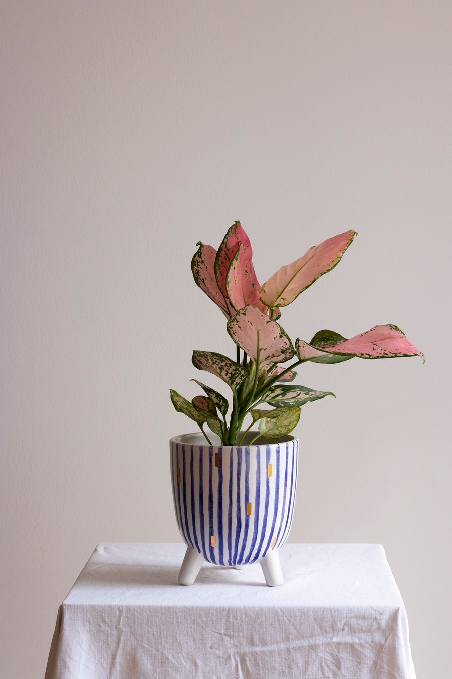 Image of DALVA TRIPÉ Plant Pot