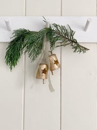 Image 1 of Clochettes Etoile (x2)