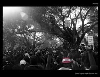"Delta Sigma Theta" Jena, Louisiana 2007 
