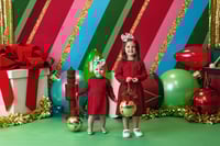 Image 1 of Christmas Minis November 14th