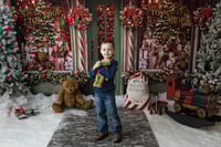 Image 2 of Christmas Minis November 14th