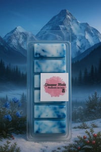 Image 2 of snap bar laundry inspired