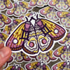 Zodiac Moth Stickers