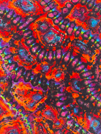 Image 3 of 2XL Psychedelic Rivers