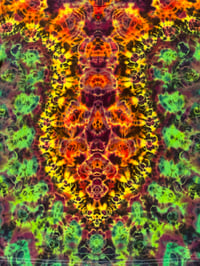 Image 2 of XL yellow point Kenney 