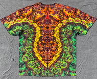 Image 3 of XL yellow point Kenney 