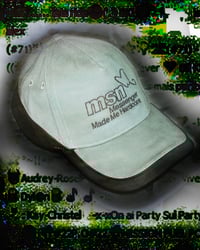 MSN/HARDCORE Two-Tone Cap