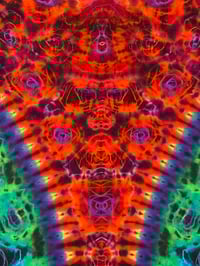 Image 5 of Large pleat point Kenney 