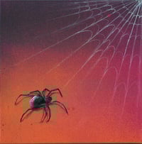 Spider and web square canvas.