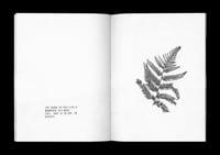 Image 4 of ne`er such a thing - THE BOOK Edition II