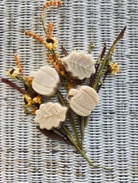 Image 1 of Autumn Soap Collection