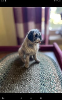Image 4 of Any breed 6" or 9" custom dog 