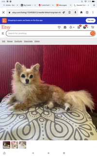 Image 6 of Any breed 6" or 9" custom dog 