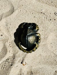 Image 3 of The Mummy Screen cast Scarab