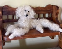 Image 16 of Any breed 6" or 9" custom dog 