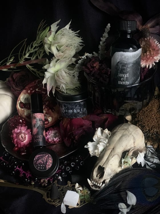 Image of 𝔑𝔦𝔤𝔥𝔱 𝔉𝔩𝔦𝔤𝔥𝔱 Pre-Order (Halloween ‘25 Collection)