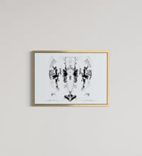 Image 2 of OBJECT - 41