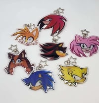 Image of Hedgehogs -  The ones from the Shirt