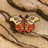 Zodiac Moth Patches