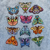 Zodiac Moth Patches