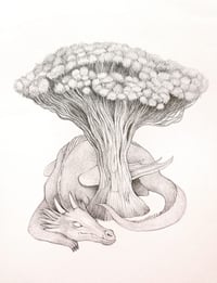 Image 2 of Original Draco