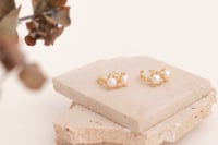 Image 1 of Earrings No.430