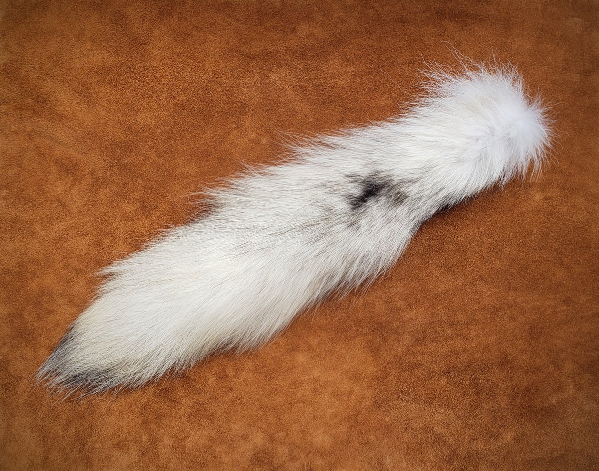 Image of White Wolf Tail