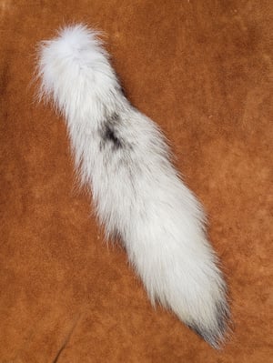 Image of White Wolf Tail