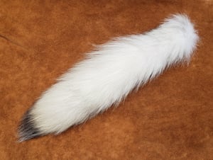 Image of White Wolf Tail