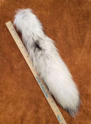 Image of White Wolf Tail
