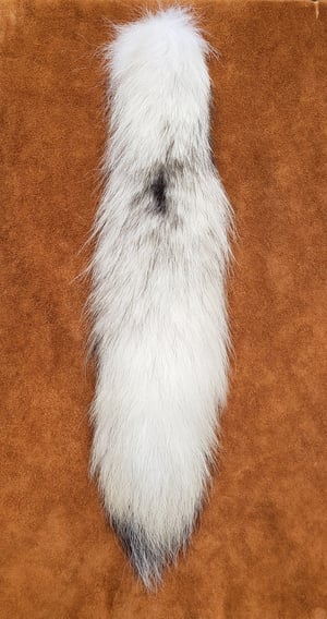 Image of White Wolf Tail