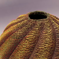 Image 5 of Elm Wood Vessel - Highly Embellished (0493)