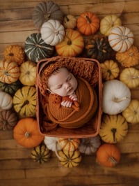 Image 2 of FADED HENNA COLLECTION | PREORDER 