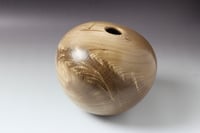 Image 5 of Elm Wood Hollow Form (0465)
