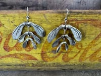 Image 7 of Maple Seed earrings