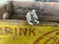 Image 2 of Swiss Cheese Monstera, size 7-7.5