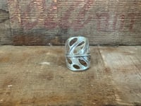 Image 4 of Swiss Cheese Monstera, size 7-7.5