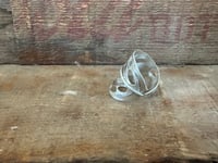 Image 5 of Swiss Cheese Monstera, size 7-7.5