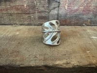 Image 1 of Swiss Cheese Monstera, size 7-7.5