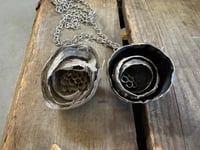 Image 3 of Paper Wasp Nest