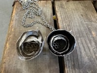 Image 5 of Paper Wasp Nest