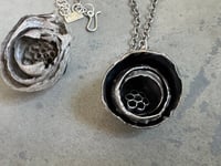 Image 6 of Paper Wasp Nest