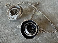 Image 8 of Paper Wasp Nest