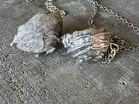 Image 9 of Paper Wasp Nest