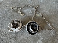 Image 10 of Paper Wasp Nest